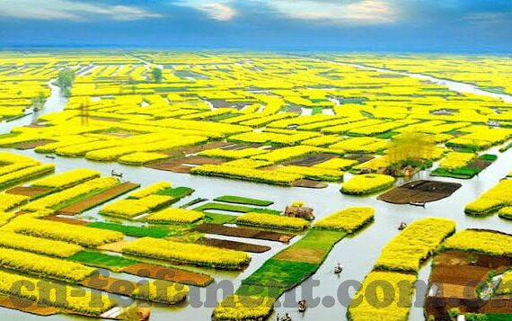 永利足球比分-深度解析,永利足球比分——球迷的实时数据指南针