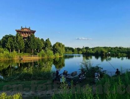 足球比分哪家比较专业-足球比分哪家比较专业？深度剖析助您精准选择